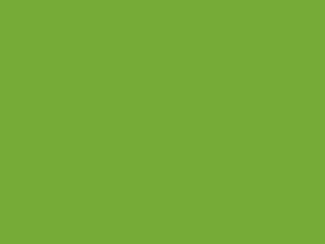 Laminado Greenlam 1241-30 - Parrot Green - Mate - 4x8 - No postformable