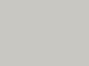 Laminado Greenlam para tope 275-30 - Pearl Gray - Mate - 30X8 - Postformable