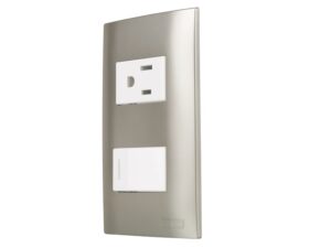 Switch sencillo plata con plug y tapa - AKSI - 124831