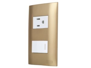 Switch sencillo champagne con plug y tapa - AKSI - 124841