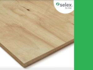 1/4 in x 4 ft x 8 ft BC treated pine plywood