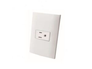 Single outlet with plate, white - AKSI - 124822