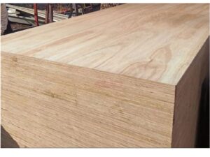 Panel CD de eucalipto de 1/2 in