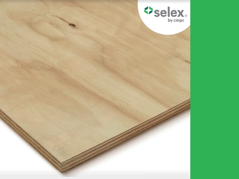 Panel de pino BC 3/8 in sin tratar