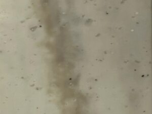 Koris solid surface - Paris - 1541